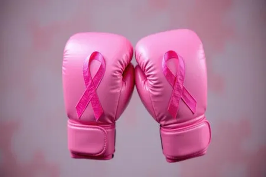 Boxing Gloves Pink Breast Cancer Style