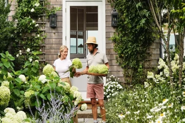 Speed Limit 16 Medium Blue Style A Yard Card