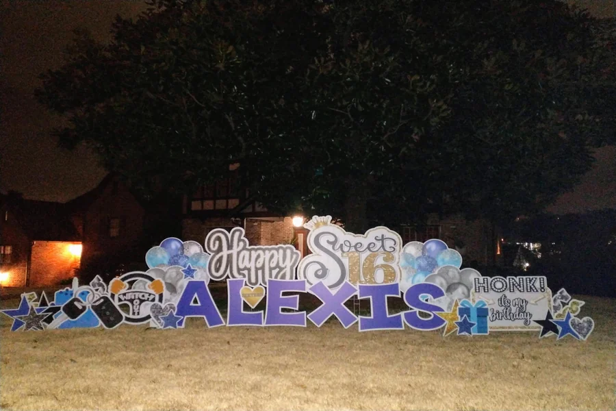 Speed Limit 16 Purple Style