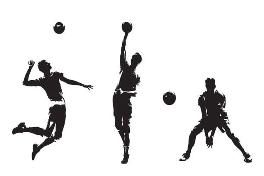 Volleyball Silhouette Style